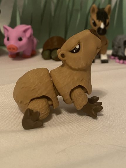 Carter the Capybara